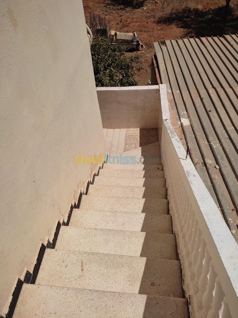 Vente Terrain Mostaganem Mesra