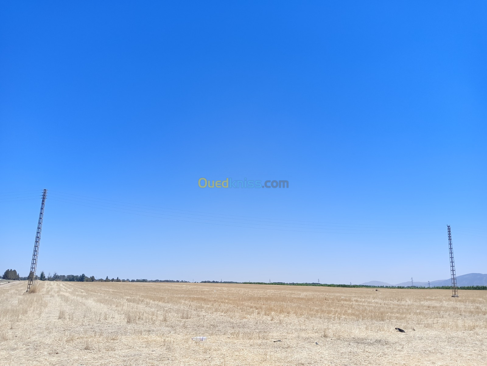 Vente Terrain Sétif Mezloug