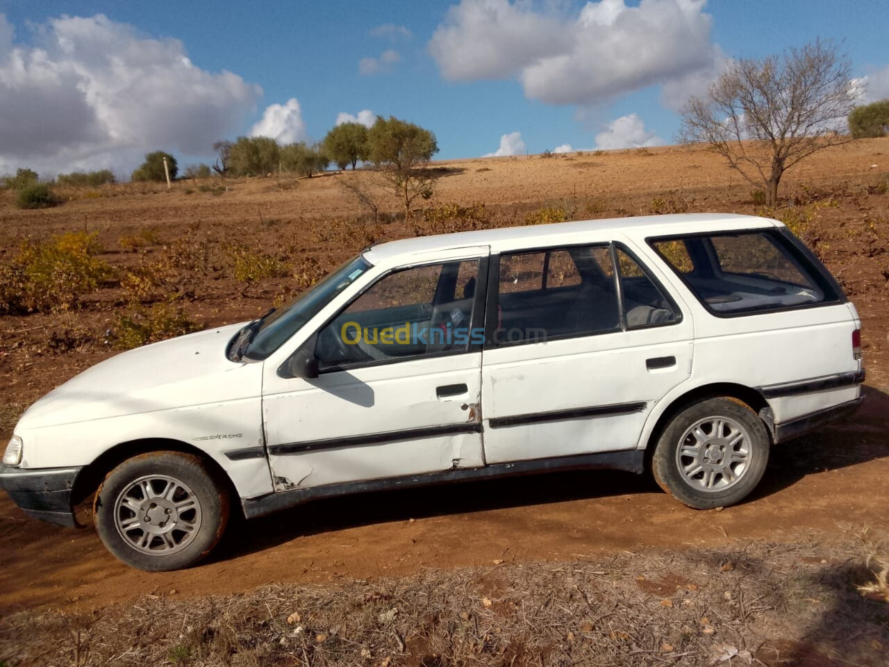 Peugeot 405 1991 405