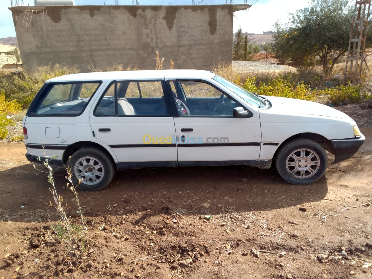 Peugeot 405 1991 405