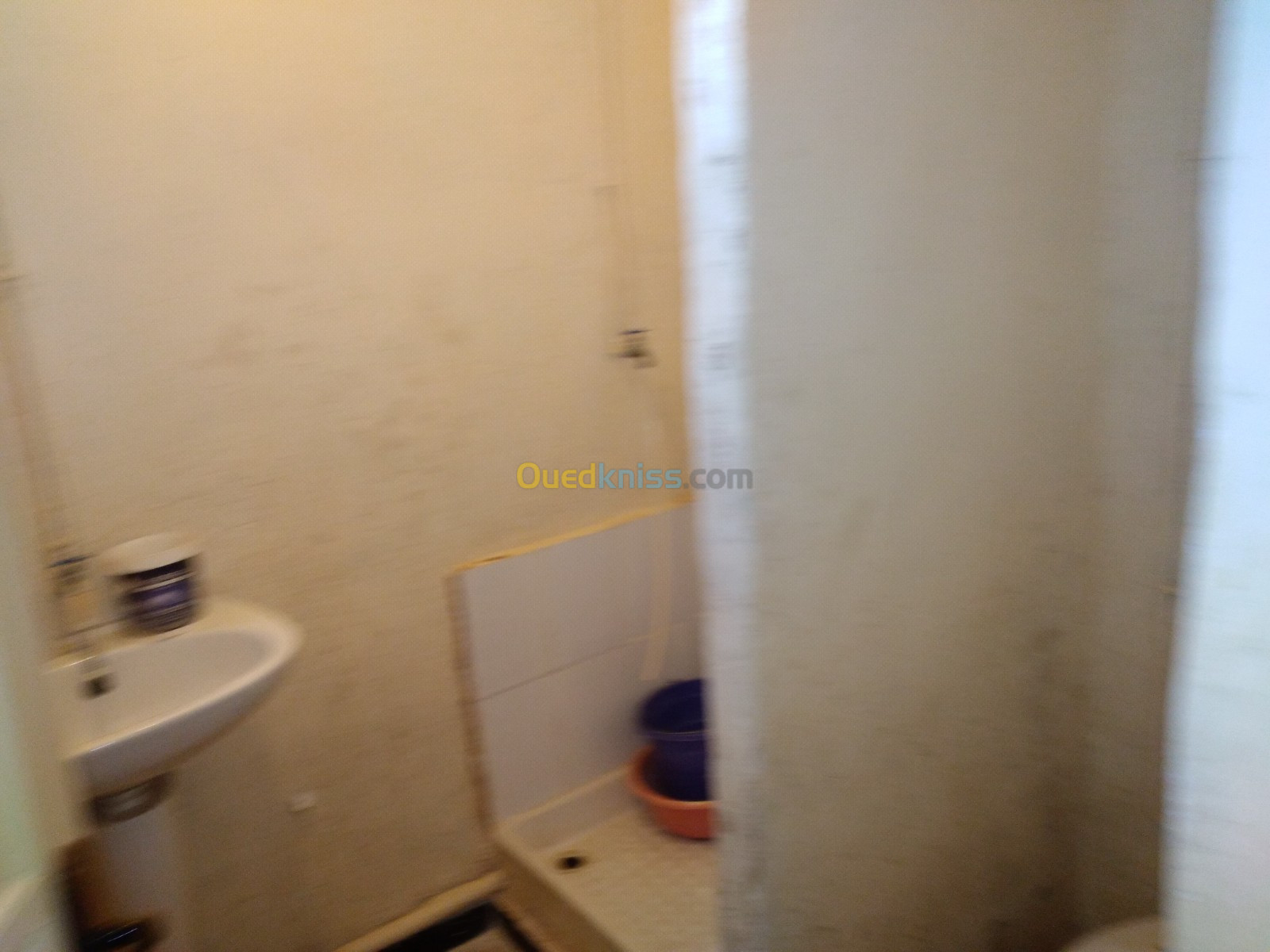 Vente Appartement F1 Blida Ouled el alleug