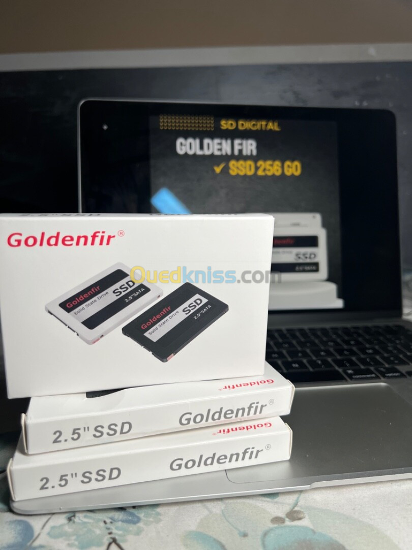 SSD 256 GO Golden Fir