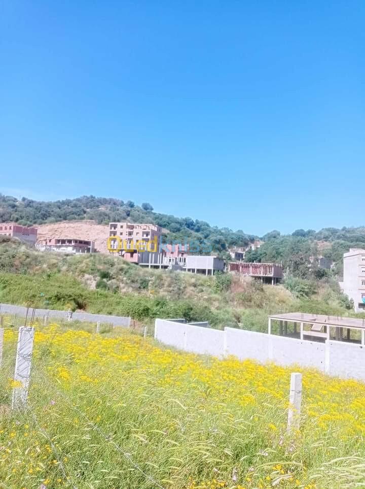 Vente Terrain Skikda Collo