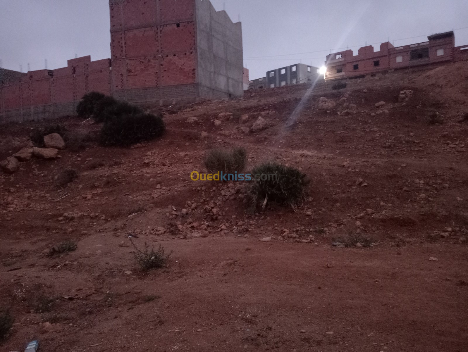 Vente Terrain Aïn Témouchent Sidi safi