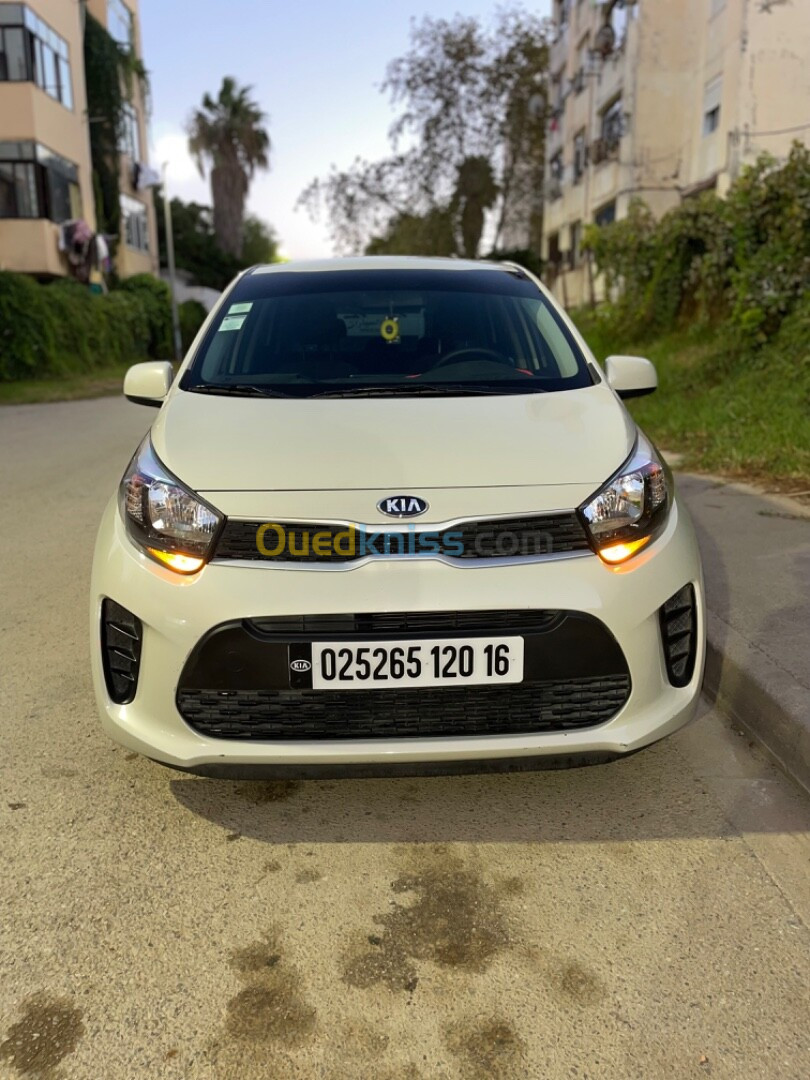 Kia Picanto 2020 Lx star