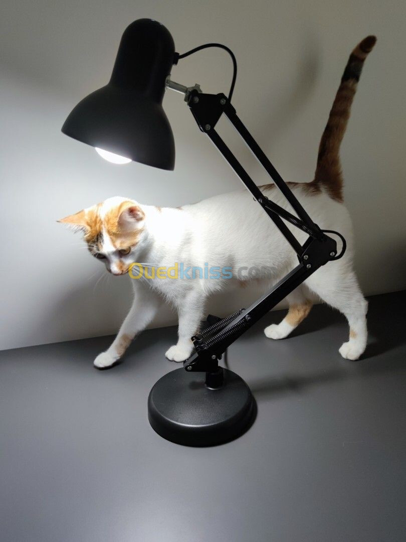 Lampe De Bureau