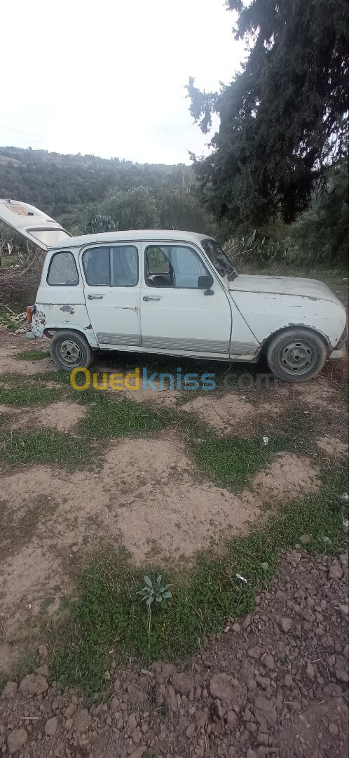 Renault 4 1973 