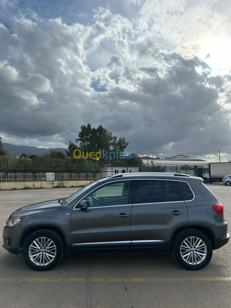 Volkswagen Tiguan 2014 Cup