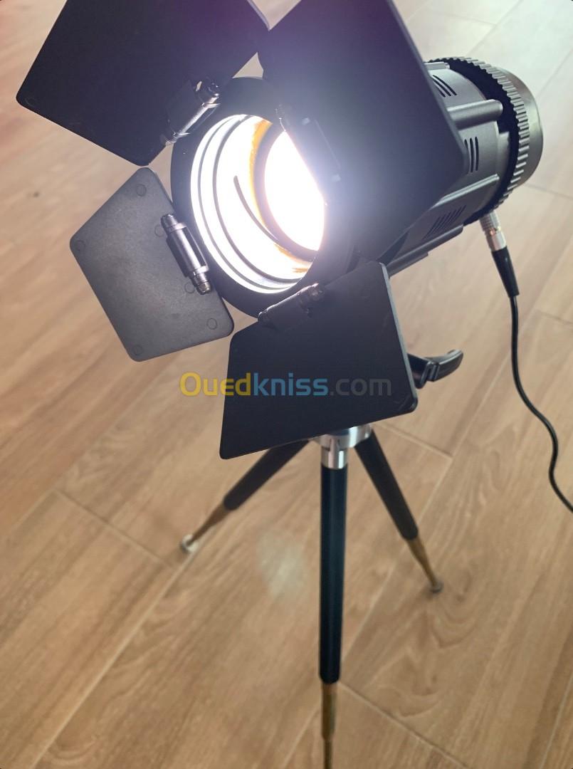 projecteur Spot LED lumière du jour LS J-500