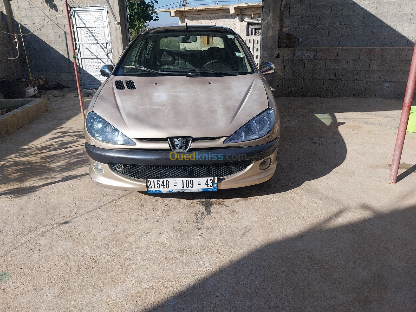 Peugeot 206 Sedan 2009 206 Sedan