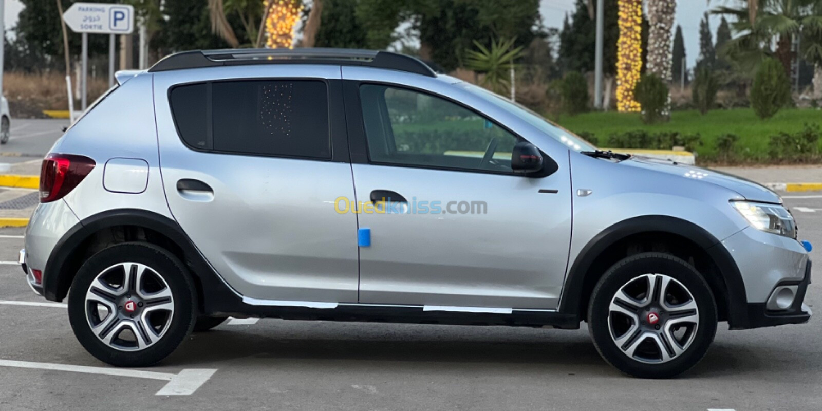 Dacia Sandero 2019 Stepway Techrood