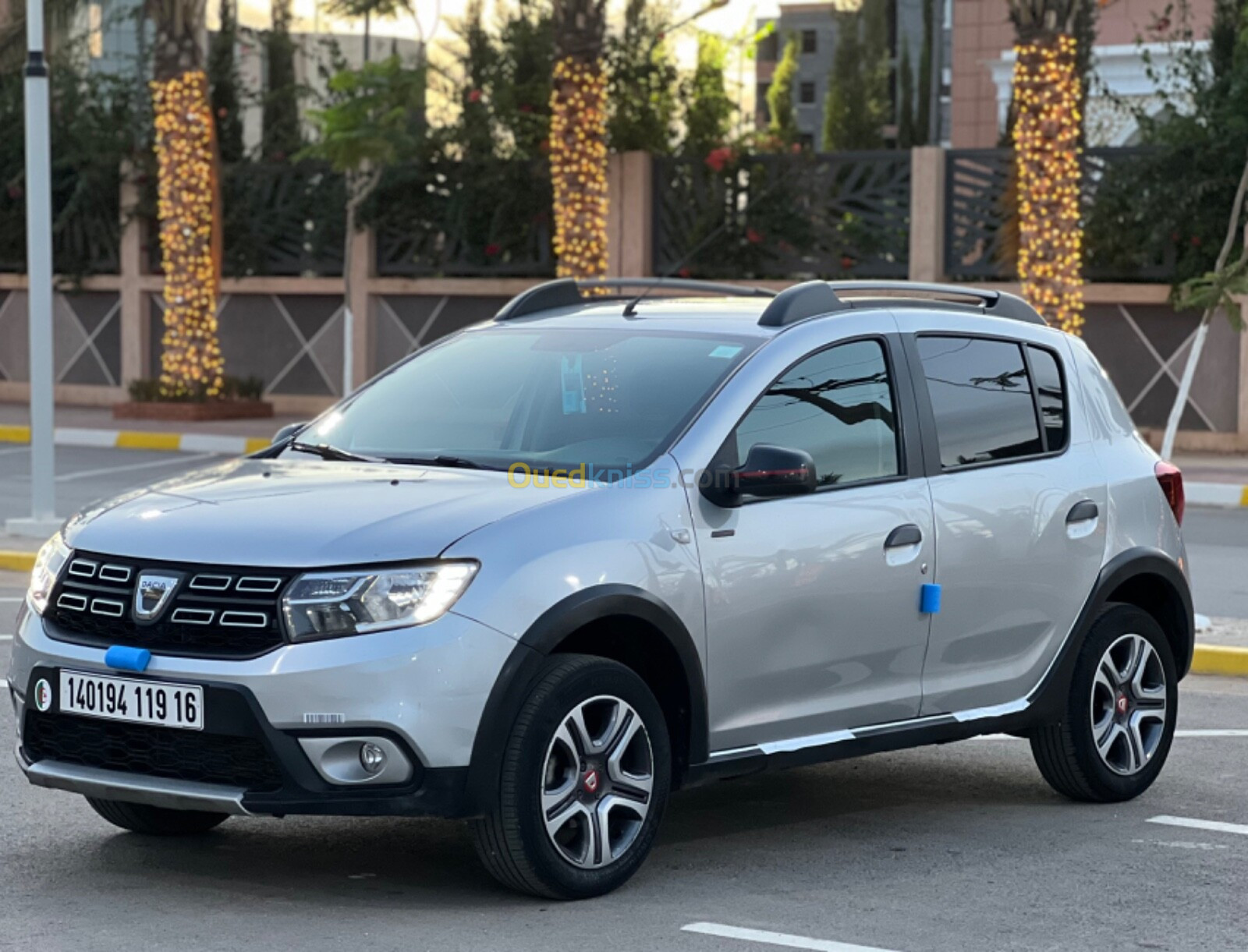 Dacia Sandero 2019 Stepway Techrood