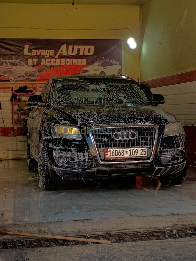 Audi Q5 2009 