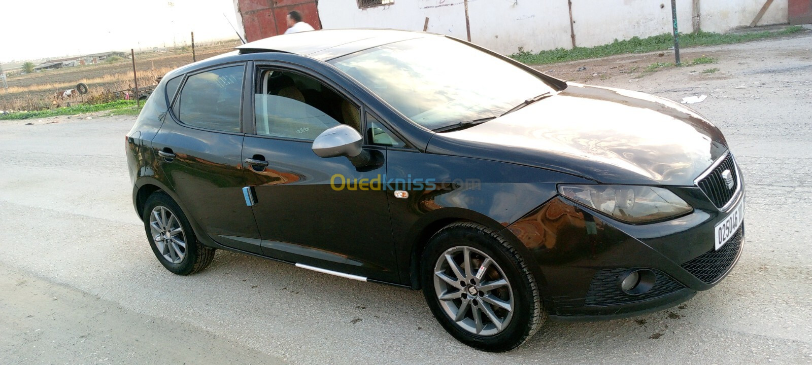 Seat Ibiza 2011 Loca