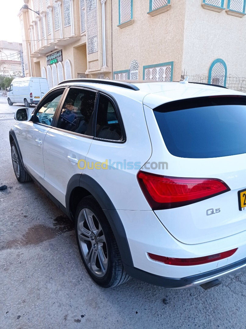 Audi Q5 2013 Offroad