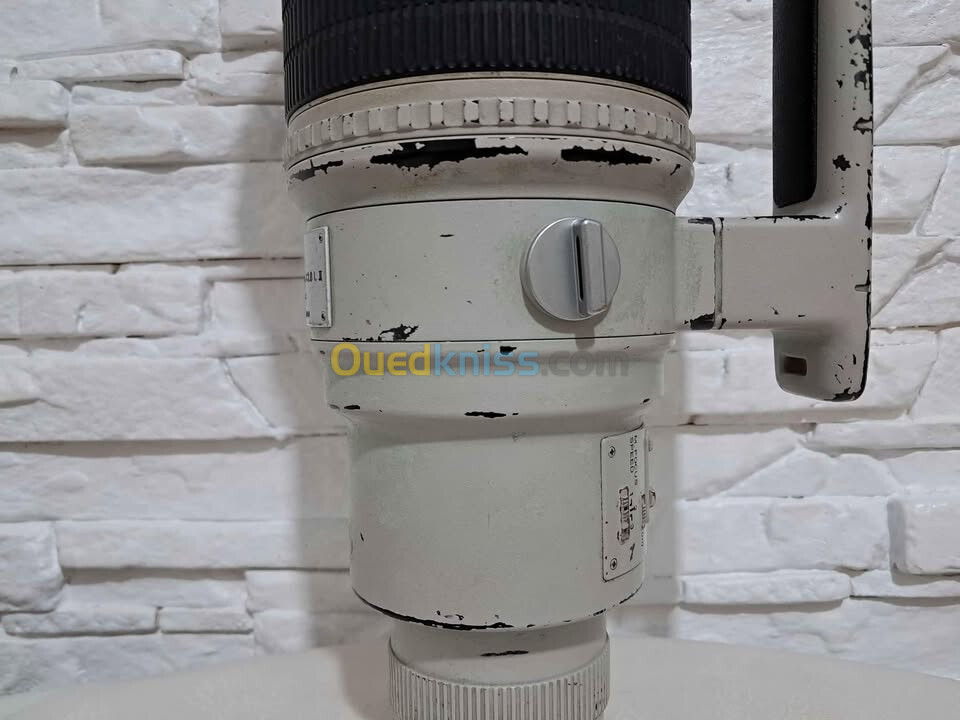 Canon EF 400mm F/2.8 L II USM Telephoto