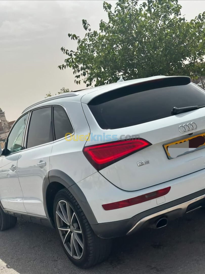 Audi Q5 2016 Off Road