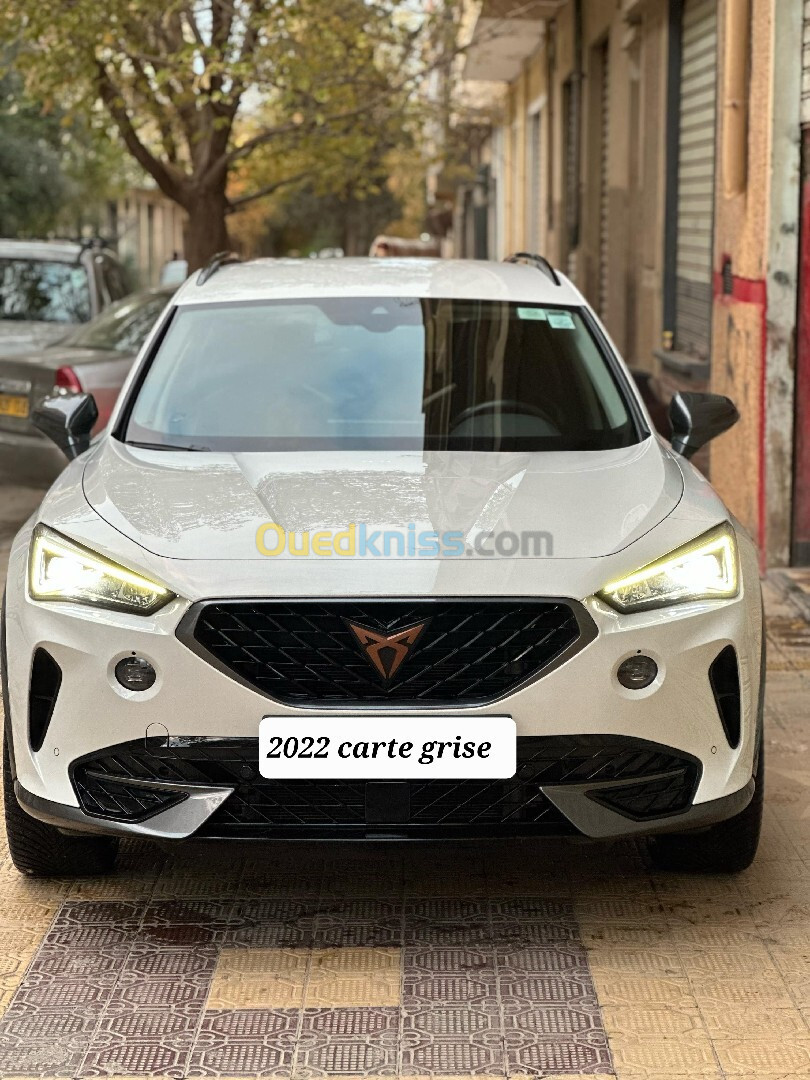 Seat Cupra 2022 Formantor