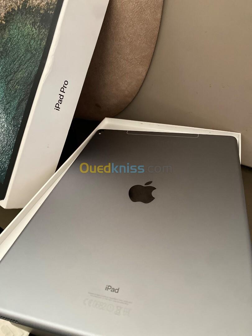 ipadpro 256GB presque jamais utilisé avec cartona et cable iphon