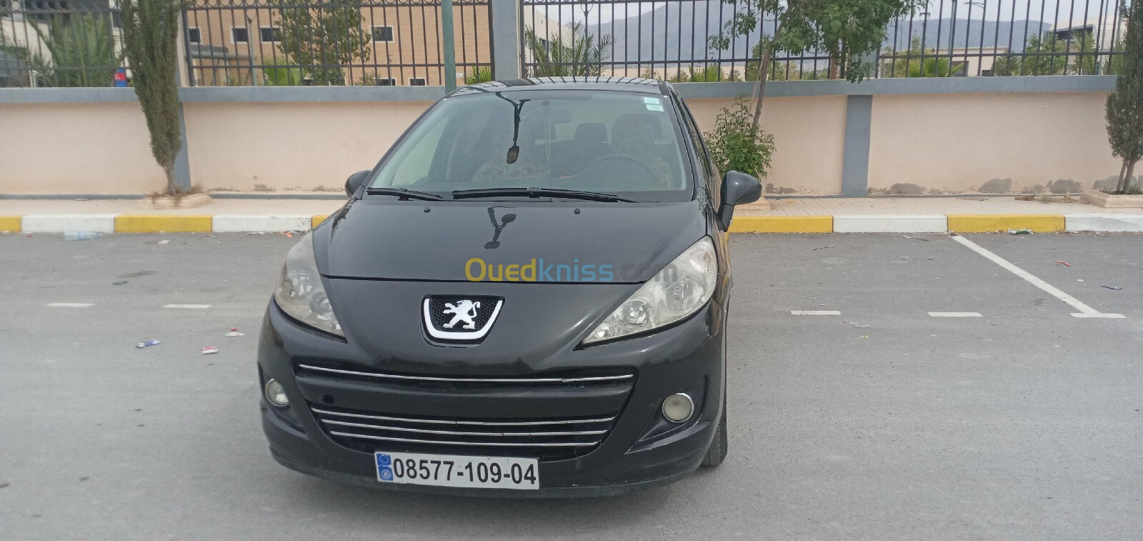 Peugeot 207 2009 Premium