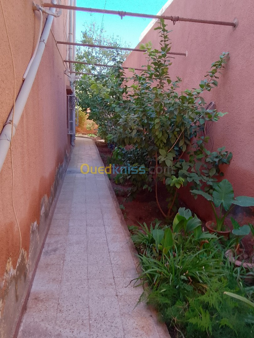 Vente Villa Laghouat Laghouat