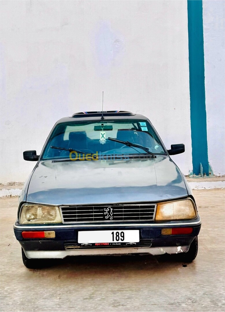 Peugeot 505 1989 GTR