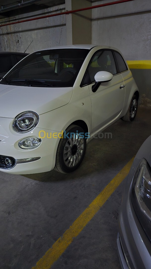 Fiat 500 2024 