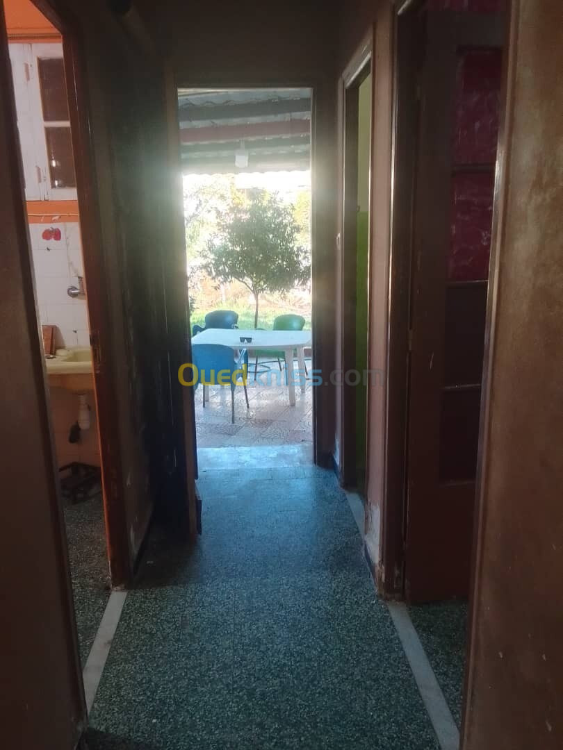 Location Appartement F3 Alger Bordj el bahri