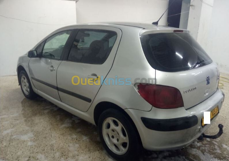 Peugeot 307 2003 307