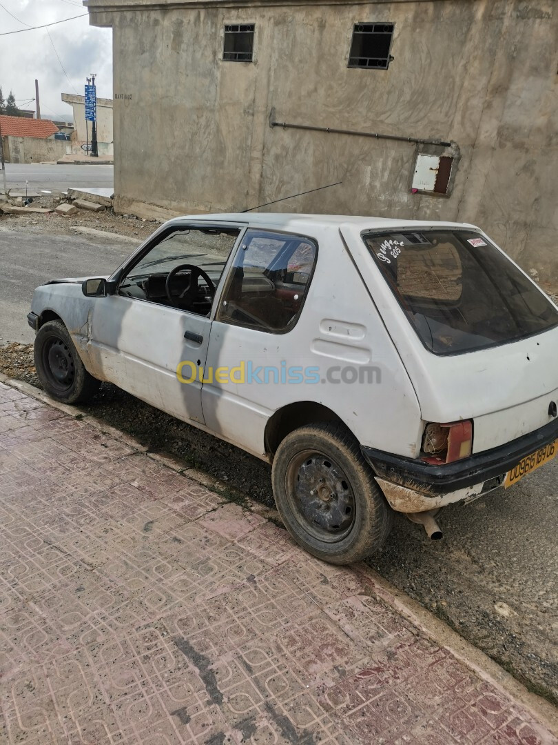 Peugeot 205 1989 205