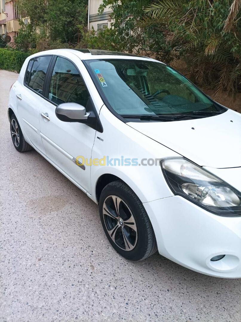 Renault Clio 3 2012 Night and Day