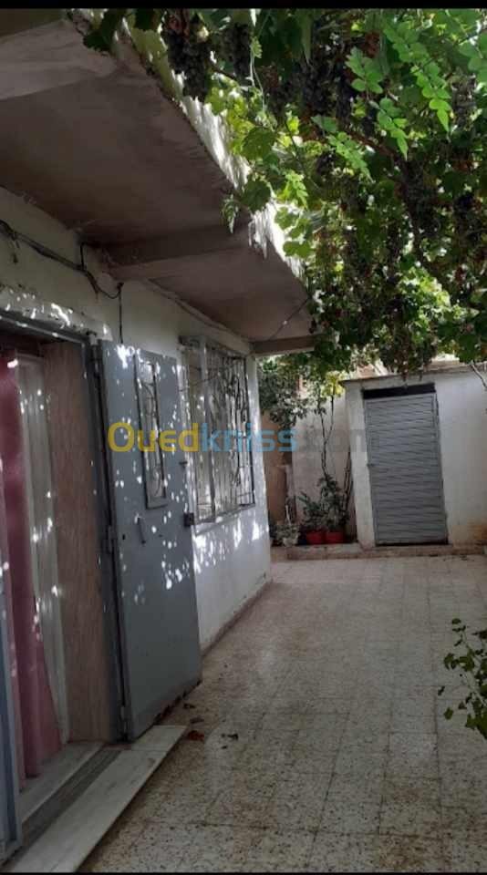 Vente Villa Chlef Sidi akkacha