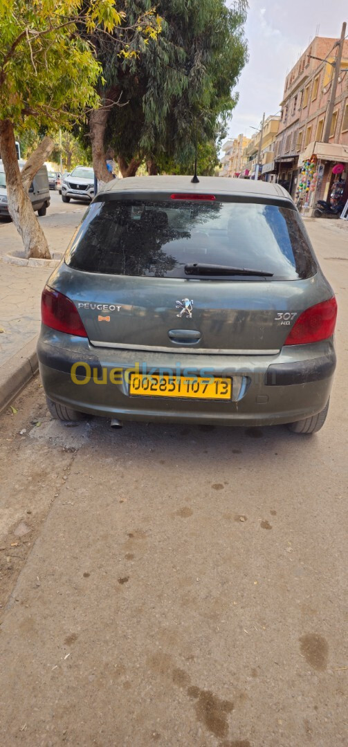 Peugeot 307 2007 307