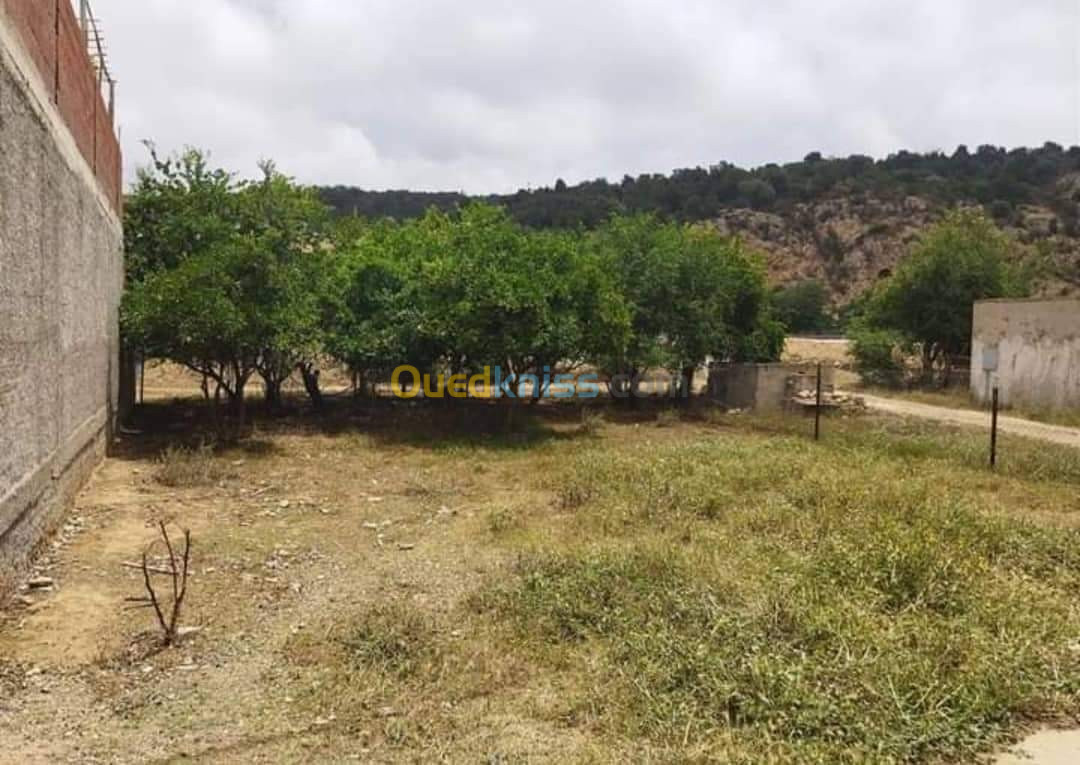 Vente Terrain Tlemcen Ghazaouet