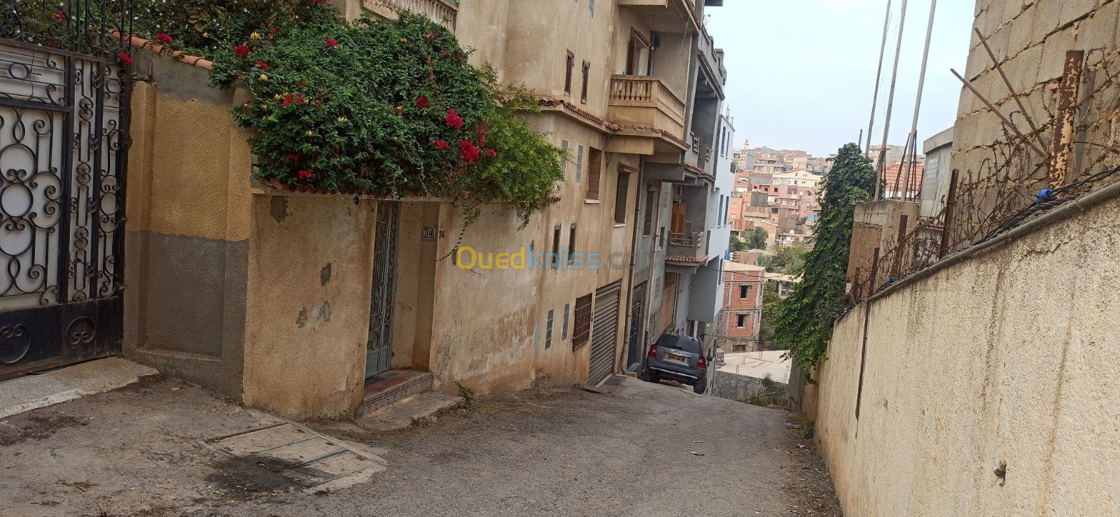 Vente Villa Alger Saoula