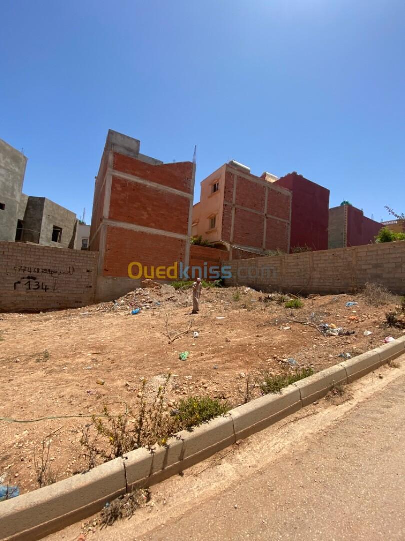 Vente Terrain Tlemcen Marsa ben mhidi