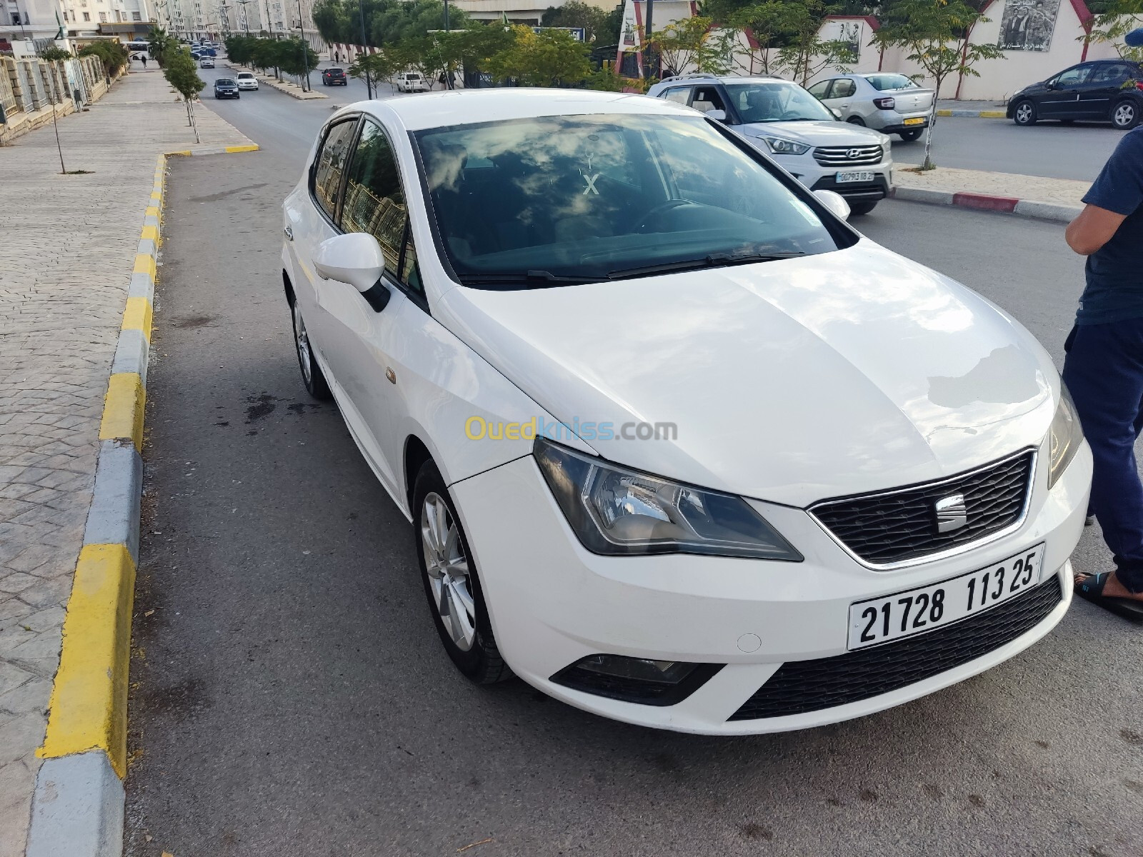 Seat Ibiza 2013 Fully