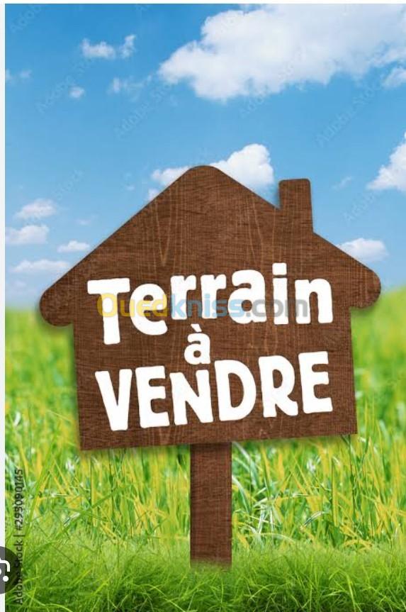 Vente Terrain Alger Draria