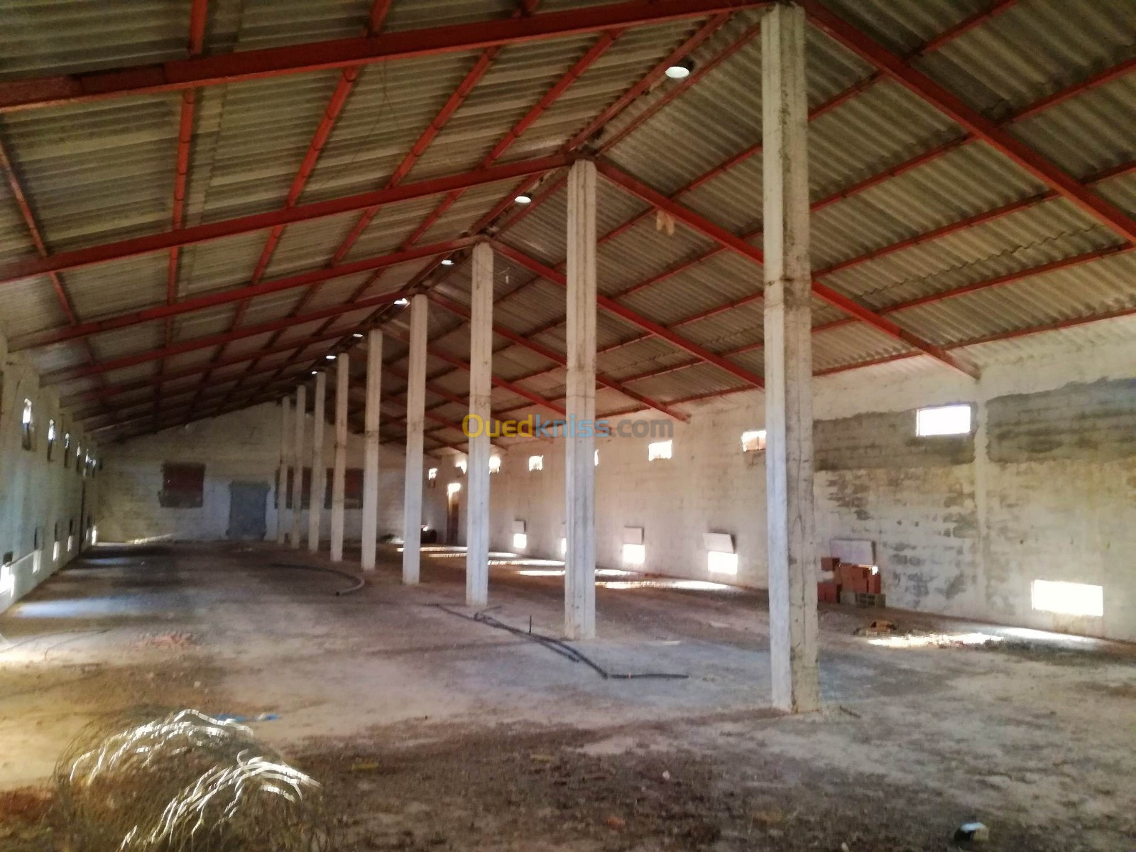 Location Hangar Batna Merouana