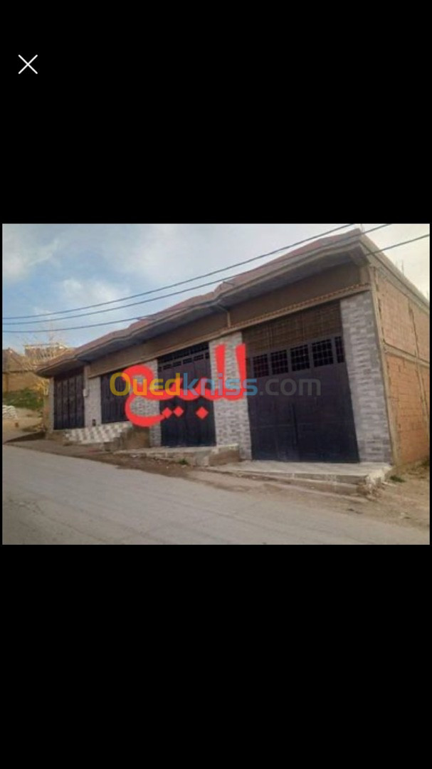 Vente Local Tiaret Frenda