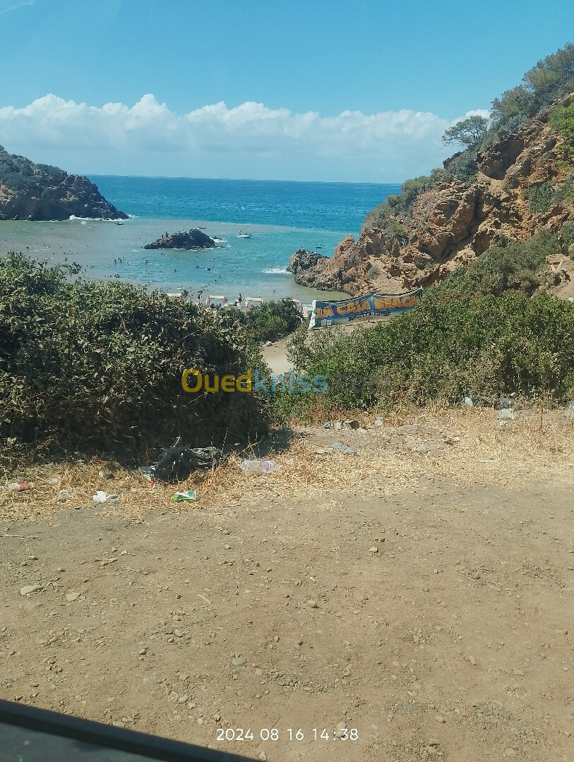 Vente Terrain Tipaza Gouraya