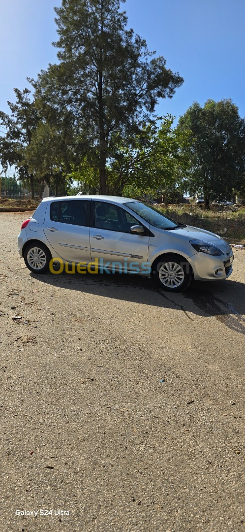 Renault Clio 3 2012 Night and Day