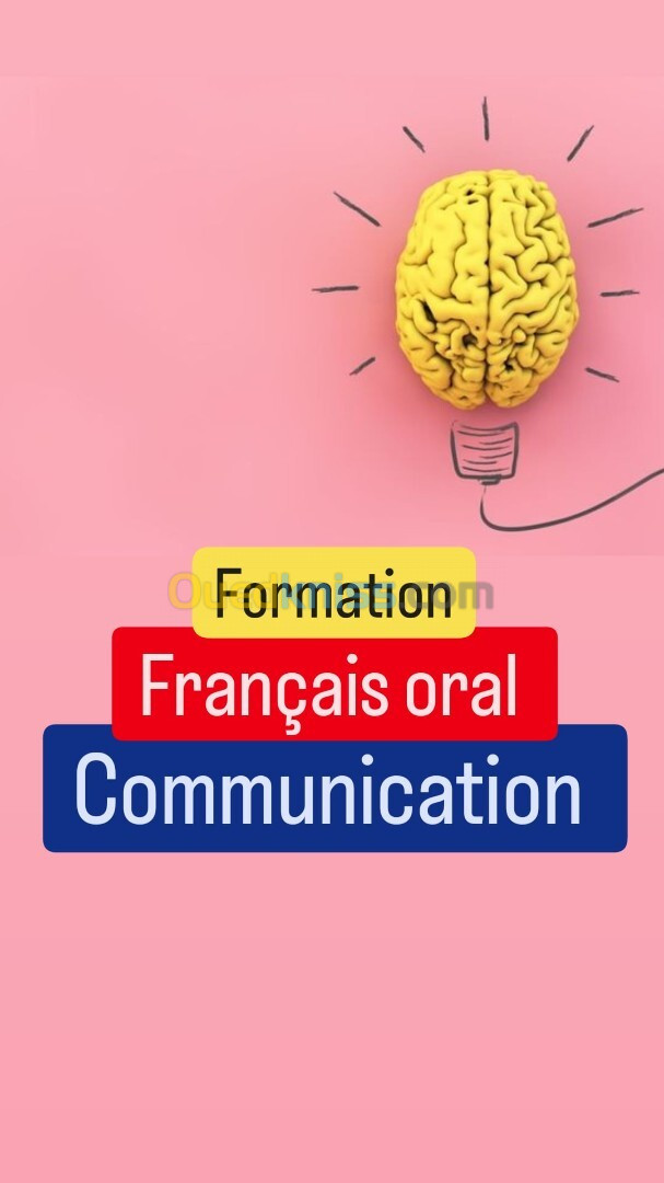 Cours de français oral "en ligne " / Communication / conversation 