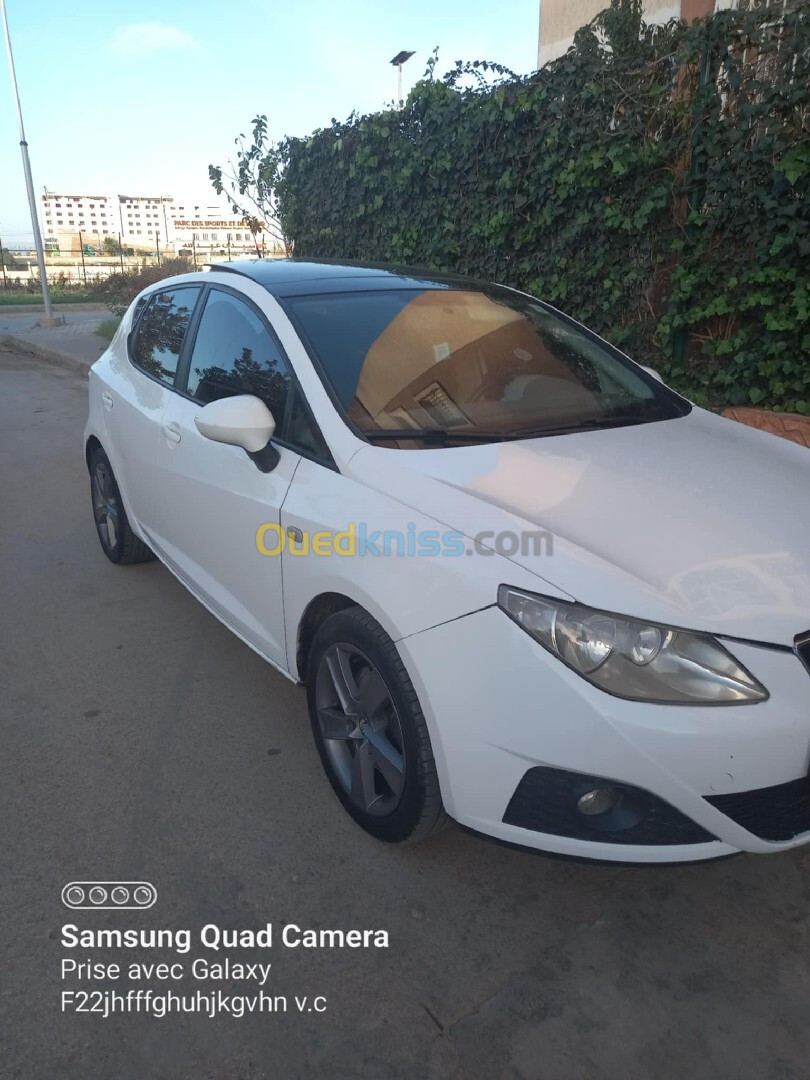 Seat Ibiza 2011 Ibiza