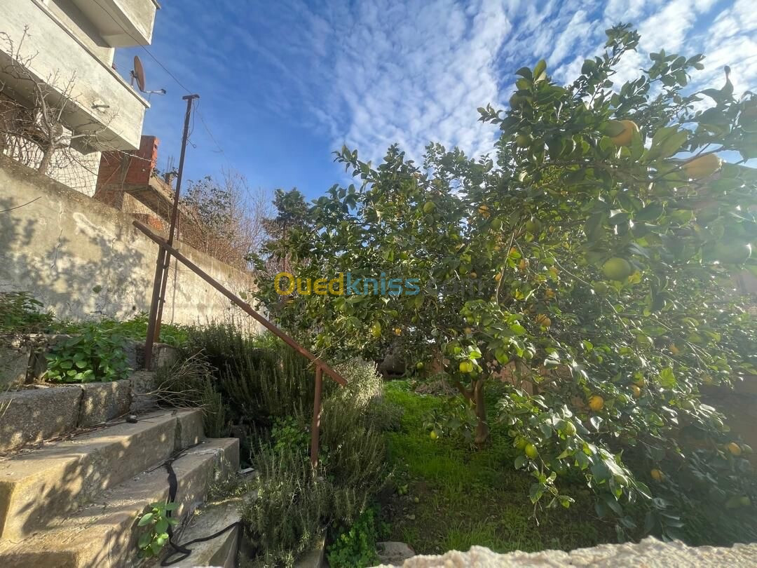 Vente Villa Alger Bouzareah