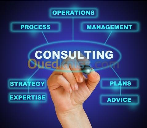 Consulting en Management de l'entreprise 