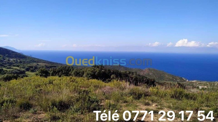 Vente Terrain Annaba Annaba