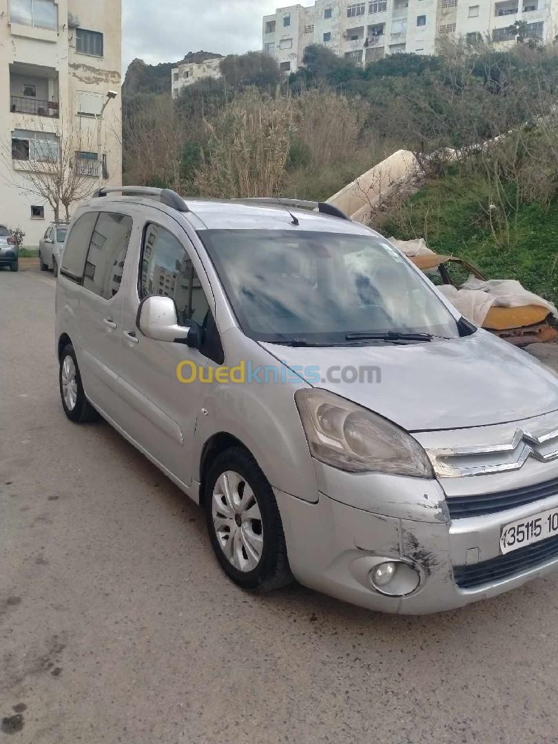 Citroen Berlingo 2008 Berlingo