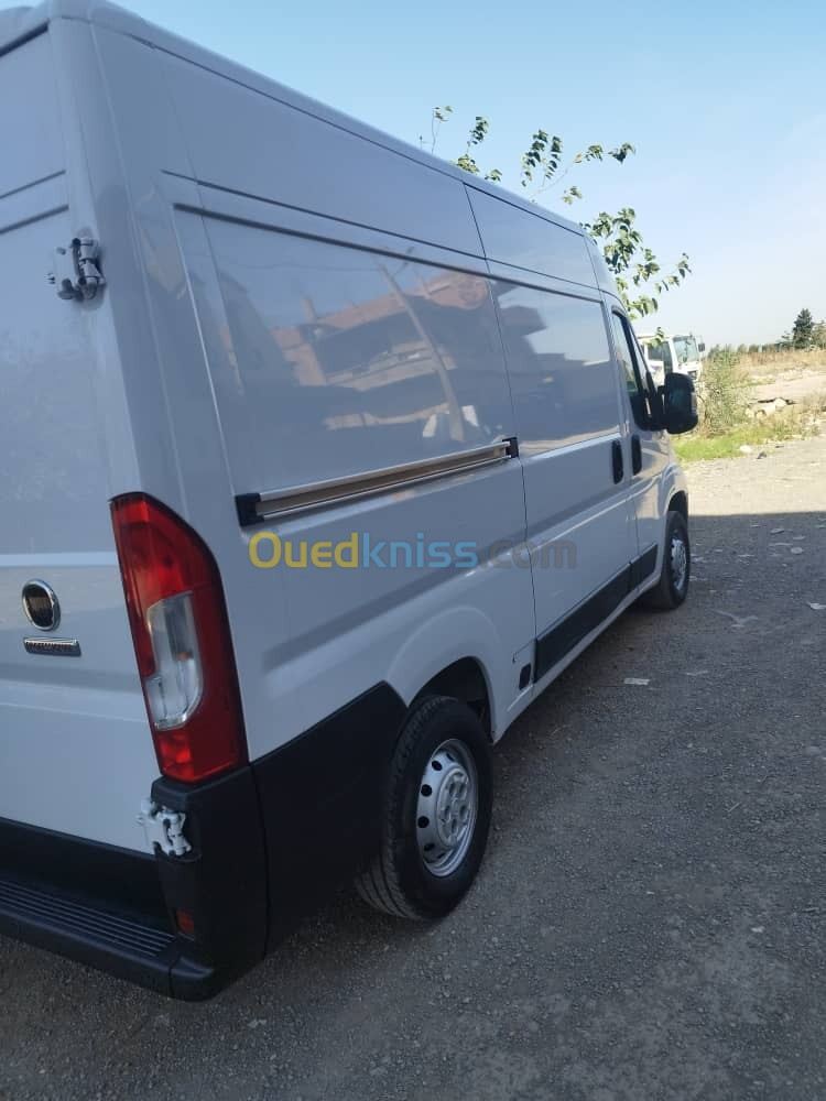 Fiat Ducato 2023 