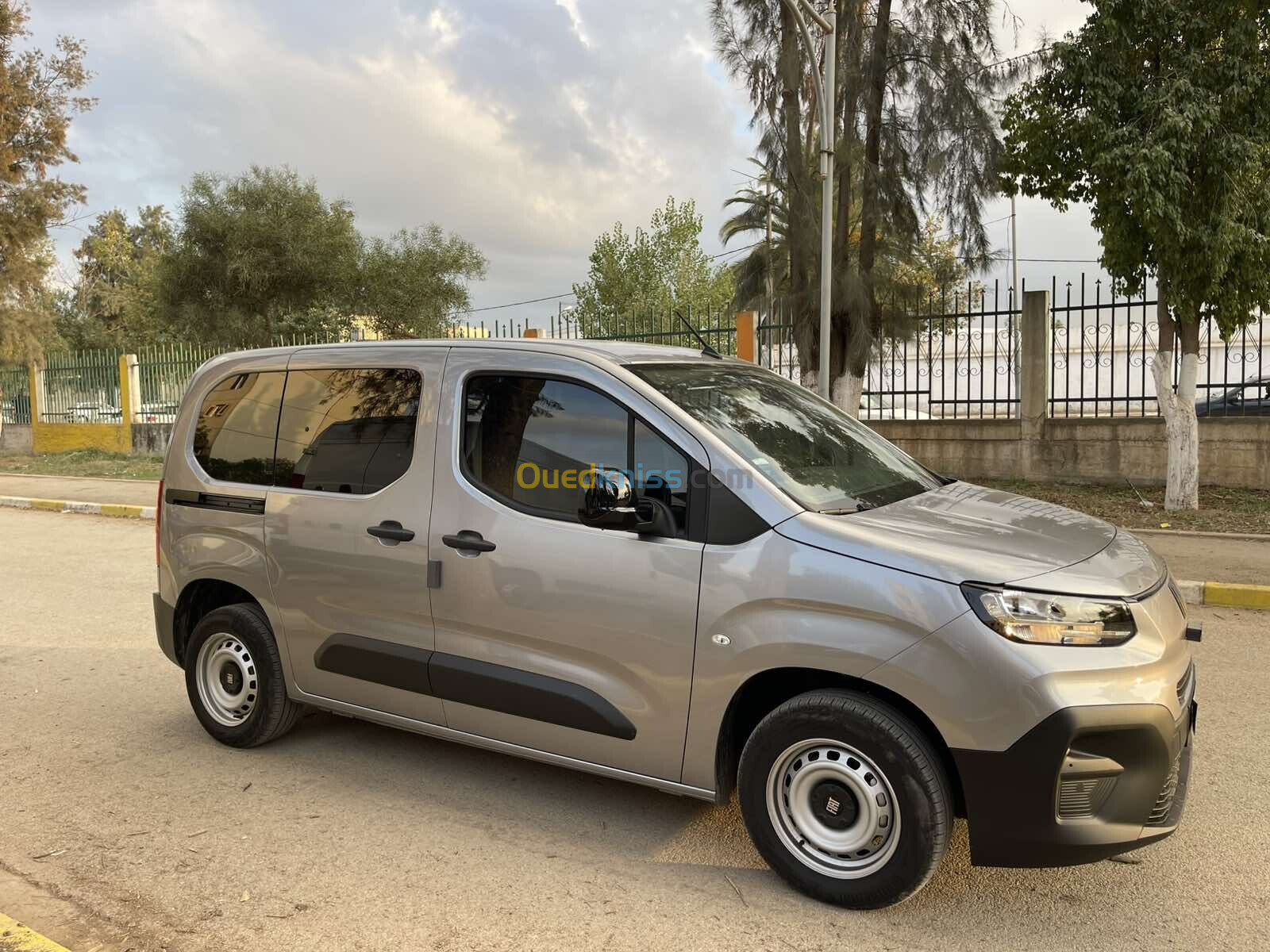 Fiat Professional Doblo 2024 Doblo